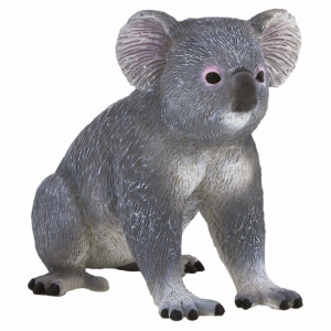 Koala M