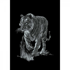 Mammut Ezüst képkarcoló Tigris (11*18 cm) Mini
