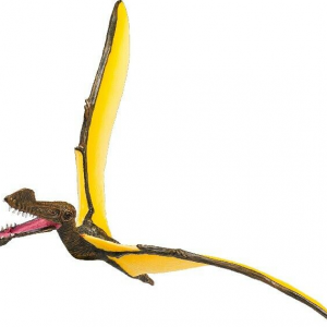 Tropeognathus L