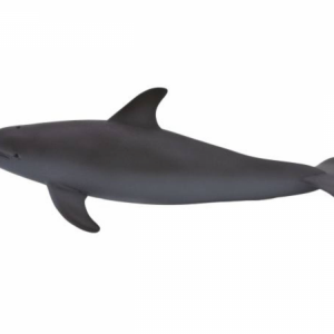 Palackorrú delfin M