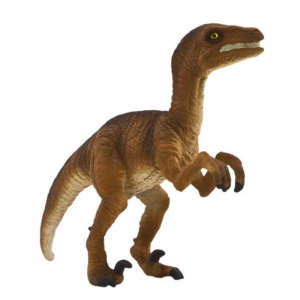 Velociraptor álló M