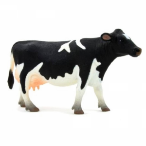 Holstein tehén XL