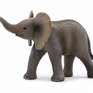 Afrikai elefánt M