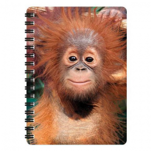 3D notesz – Baby Orangután