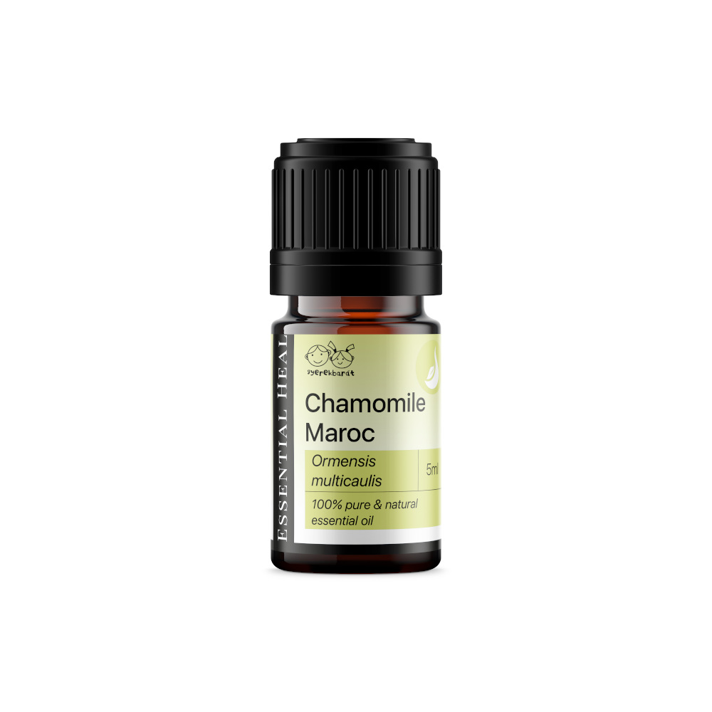 39046514_chamomile_maroc11-1.png
