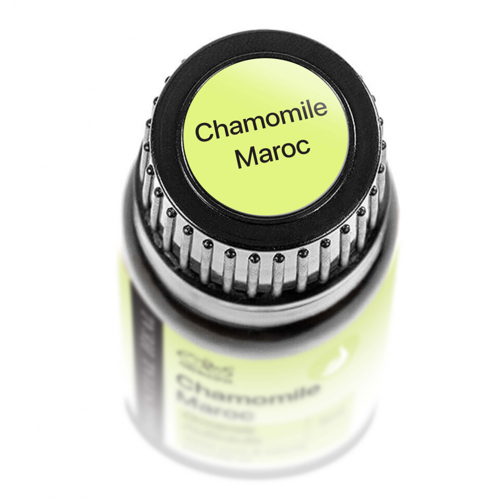 39046517_chamomile_maroc01_kupak.png