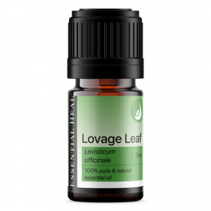 Lovage Leaf – Lestyán illóolaj