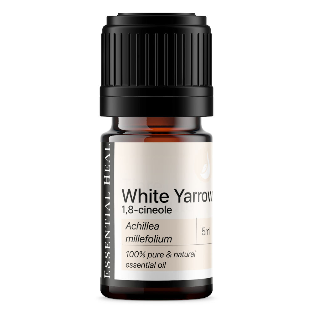 39046725_white_yarrow_essentialheal.png