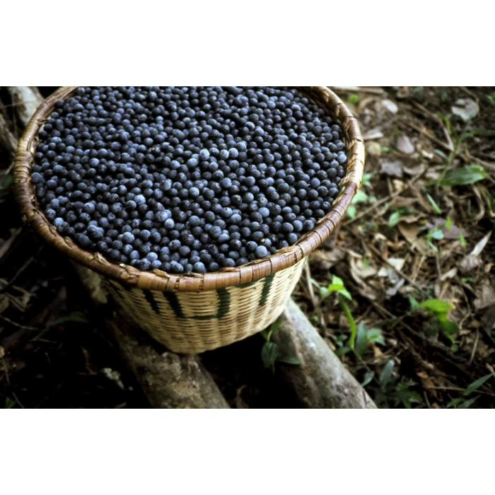 44811268_acai.png