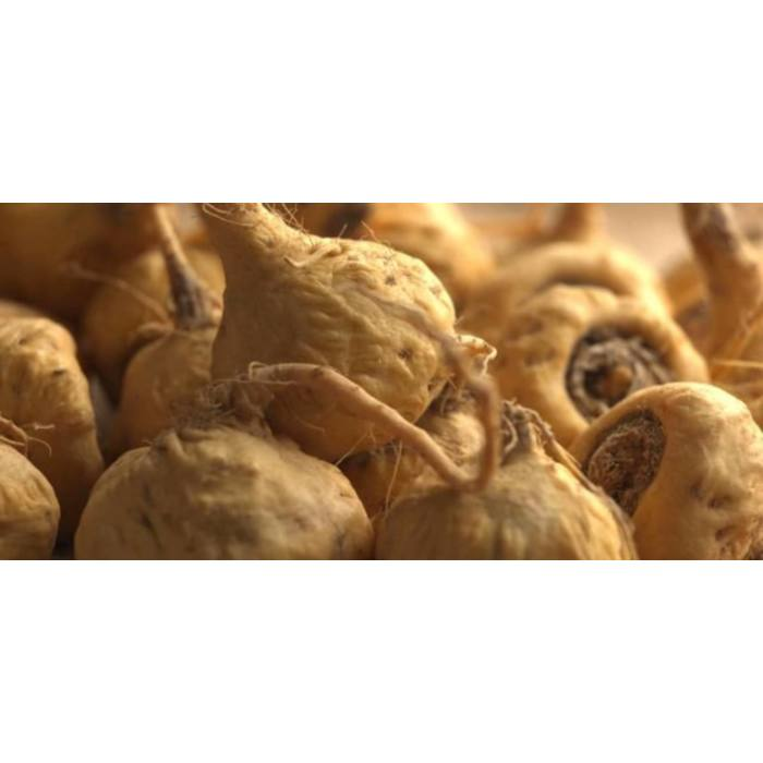 44811327_maca2.png