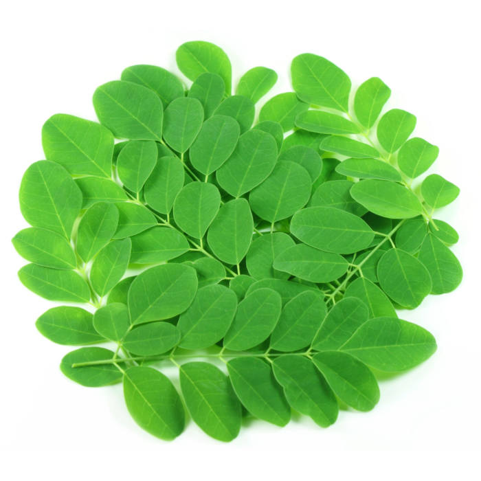 44811335_moringa_leaves.png